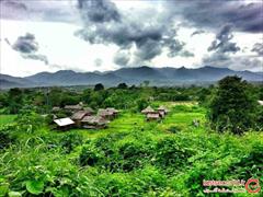 tour-travel travel-services travel-services آفر تور پوکت