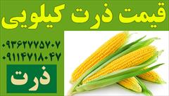 industry agriculture agriculture قیمت ذرت کیلویی