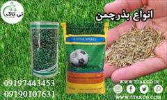 industry agriculture agriculture معرفی و فروش انواع بذر چمن 09197443453