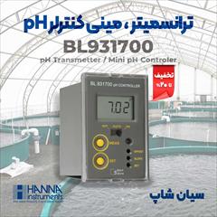 industry other-industries other-industries ترانسمیتر pH با خروجی 4-20 mA هانا HANNA BL931700