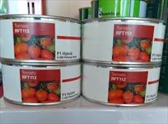 industry agriculture agriculture  بذر گوجه اراف تی.بذر گوجه استاندارد ار اف تی