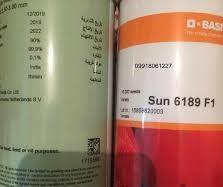 industry agriculture agriculture بذر گوجه فرنگی سانسید 6189.بذر گوجه فرنگی هیبرید 