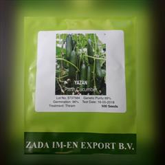 industry agriculture agriculture بذر خیار یازان .بذر خیار گلخانه ای یازان 