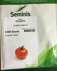 industry agriculture agriculture فروش بذر گوجه 8320 سیمینس