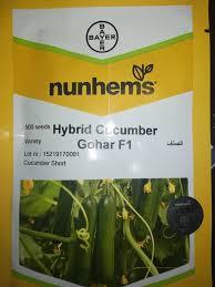 industry agriculture agriculture بذر خیار گوهر بایر المان F1.بذر خیار گلخانه ای 
