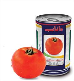industry agriculture agriculture بذر گوجه فرنگی داناب.بذر گوجه زودرس داناب