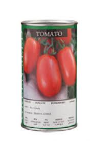 industry agriculture agriculture بذر گوجه فرنگی  ریوا.بذر گوجه هیبرید ریوا