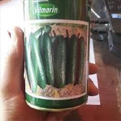 industry agriculture agriculture بذر خیار نوین ویلمورین .بذر خیار زودرس 