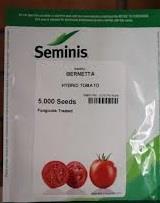industry agriculture agriculture بذر گوجه فرنگی برنتا .عمده فروشی بذر گوجه برنتا 