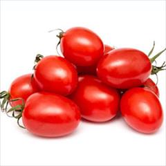 industry agriculture agriculture بذر گوجه فرنگی الیسا.بذر گوجه فرنگی دیر رس