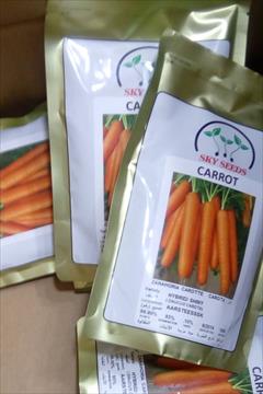 industry agriculture agriculture بذر هویج هیبرید شاین .بذر هویج هیبرید 