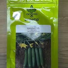 industry agriculture agriculture بذر خیار غنیمت آرگتو F1.بذر خیار فضای باز 