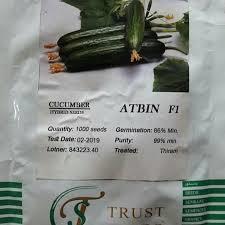 industry agriculture agriculture بذر خیار گلخانه ای آتبین F1.بذر خیار زودرس 