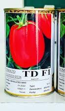 industry agriculture agriculture بذر گوجه فرنگی  td f1.بذر گوجه پربارtd f1  