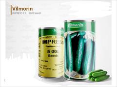 industry agriculture agriculture بذر خیار ایمپرس ویلمورین F1.بذر خیار فضای باز 