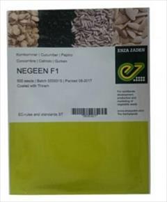 industry agriculture agriculture بذر خیار گلخانه ای نگین F1.بذر خیار زودرس نگین 