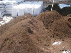 services internet internet مشاوره پرورش کرم خاکی و فروش کرم خاکی و کود ورمی 