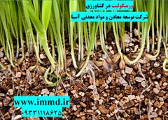 industry agriculture agriculture کاربرد ورمیکولیت در کشاورزی 