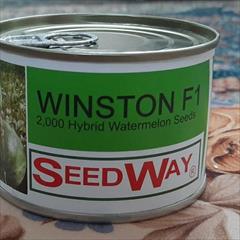 industry agriculture agriculture عرضه و فروش بذر هندوانه وینستون 