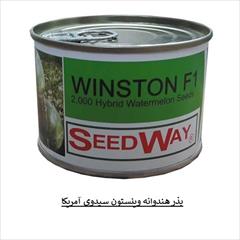 industry agriculture agriculture فروش بذر هندوانه خطی وینستون SEED WAY