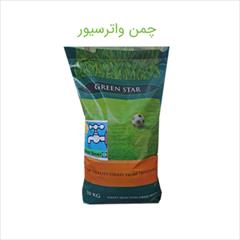 industry agriculture agriculture بذر چمن فستوکا, بذر چمن واترسیور, فروش بذر چمن