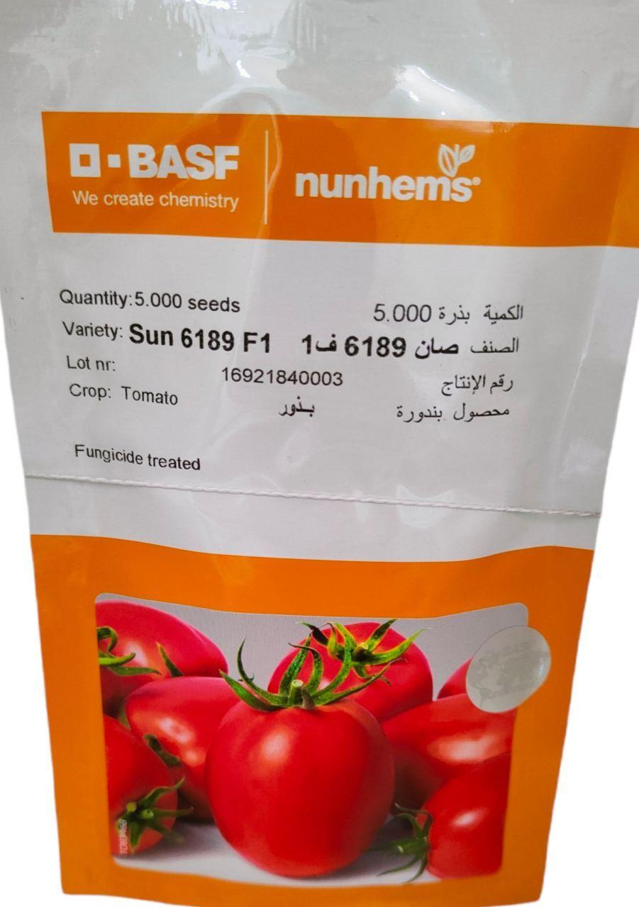 خصوصیات بذر گوجه سانسید 6189 باسف المان :<br/><br/>_ از ارقام با تیپ میوه تخم مرغی<br/>_ عملکرد بالا<br/>_ اندازه میوه متوسط ، وزن میوه بین 140-160 گرم<br/>_ رنگ میوه قرم industry agriculture agriculture