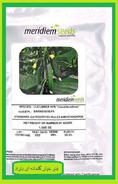 بذر خیار گلخانه ای هیبرید F1 بسته بندی 1000 عددی کشور تولید کننده اسپانیا مناسب برای کشت بهاره، پاییزه (اواخر پاییز) و زمستان مناسب برای کشت گلخانهای  industry agriculture agriculture