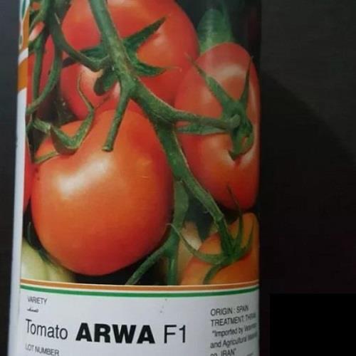 بذر گوجه اروا از شرکت دیاموند سید بوده و در قوطی های 5000 عددی در بازار عرضه می شود. گوجه اروا یکی از ارقام گوجه فضای باز بوده که در سال های اخیر در م industry agriculture agriculture