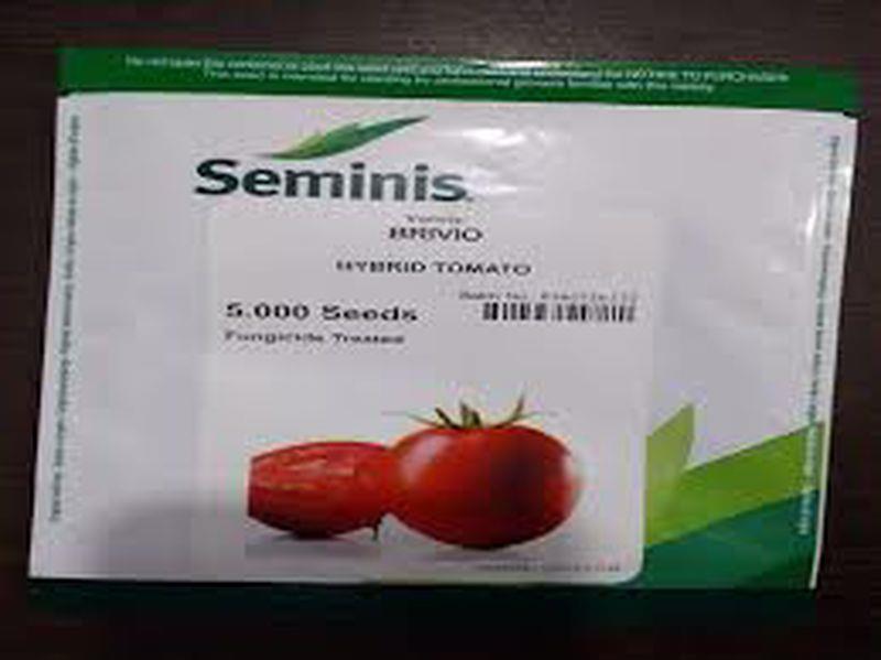 این بذر یکی دیگر از واریته های گوجه فرنگی جدید شرکت سیمینس بوده که از لحاظ کیفیت، سفتی میوه و همچنین باردهی در قیاس با سایر واریته ها بسیار عملکرد خوب industry agriculture agriculture