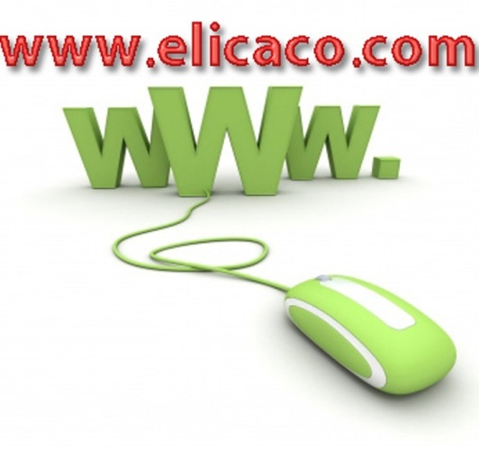 خدمات ارائه شده توسط شرکت الیکارایان پرداز :<br/>• ثبت دامنه ,.ws ,.eu ,.asia ,.net ,.ir ,.info ,.biz ,.org ,.com .co و غیره با نام دلخواه شما<br/>• تخصیص ف services internet internet