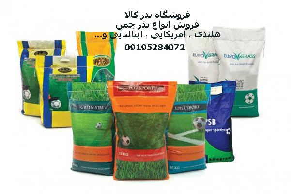 قیمت بذر چمن چهار فصل سوپر اسپرت - بذر چمن 7 روزه سبز می شود - چند روزه رشد می کند - چگونه بذر چمن را بکاریم - بذر چمن کیلویی چنده - نحوه کاشت بذر چمن industry agriculture agriculture