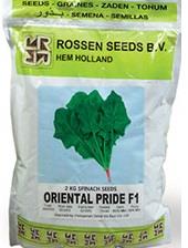 <br/><br/>بذر اسفناج هیبرید اوربیتال<br/><br/>فروش بذر اسفناج اوربیتال : قادر به تحمل سرمای زیاد نیاز شدید به رطوبت هم خوانی اسفناج با هر نوع سبزی و گیاه مقاوم به سفی industry agriculture agriculture