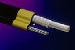 <br/>فروش انواع سيم و کابل با پايين ترين قيمت در کشور .<br/>سيم و کابلهاي افشان و خشک ، کابلهاي قدرت ، کابلهاي مخابراتي ، کابلهاي ابزار دقيق ، کابلهاي هوايي ، services business business