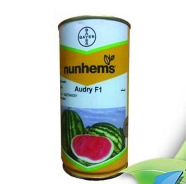 بذر هندوانه کریمسون سوئیت (خطی) آئودری (اودری) با زودرسی بالا، یکی از ارقام پر طرفدار شرکت نانهمز هلند است. این محصول با عملکرد نسبتاً بالا، بوته‌های  industry agriculture agriculture