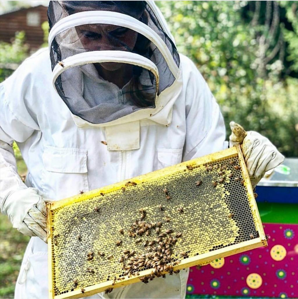 <br/>از آنجایی که هیچکس نمی تواند بطور قطع بگوید سودی که یک زنبور دار از تولید عسل بدست آورده برای من هم همین گونه باید باشد زیرا زنبور داری صد در صد به ت services educational educational
