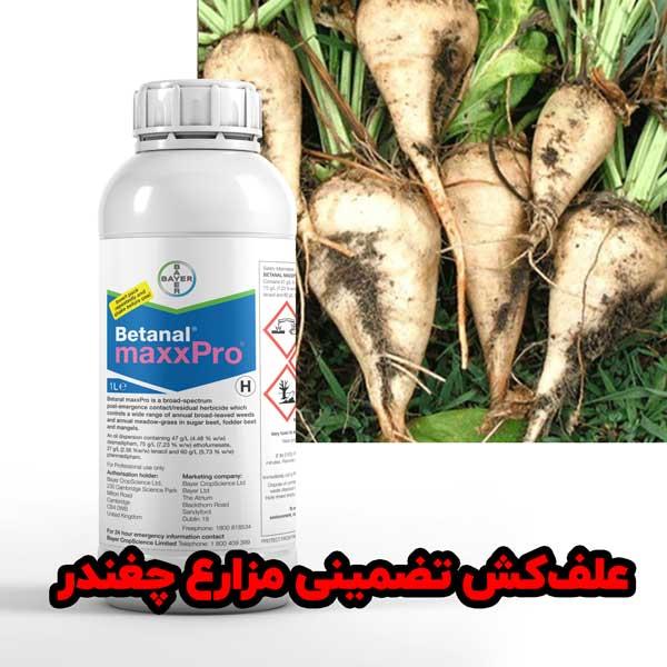 بتانال مکس ایکس پرو توسط شرکت بایر تولید شده و به صورت انحصاری ثبت شده است. این علف کش تماسی و رسوبی پس رویشی برای کنترل علف های هرز پهن برگ و چمنی سا industry agriculture agriculture