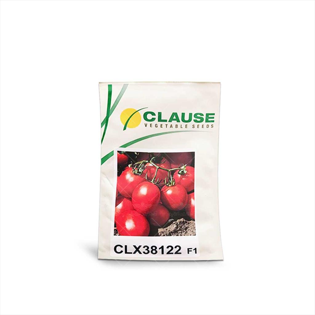 بذر گوجه سی ال ایکس 38122 (CLX 38122) رقمی بلوکی شکل با سایز میوه متوسط و مناسب کشت در فضای باز است. یک رقم نسبتا زودرس تا متوسط رس به شمار می‌رود، به industry agriculture agriculture