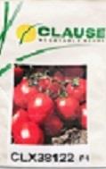 <br/>بذر گوجه کلوز 38122<br/><br/>بذر گوجه فرنگی کلوز بذر گوجه کلوز (clx38122) با دارا بودن ویژگی هایی نظیر شکل یک نواخت میوه، سفتی مناسب و رشد بوته قوی به یک رقم industry agriculture agriculture