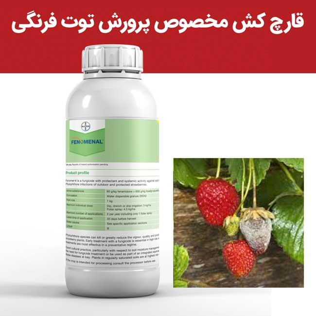 فنومنال یک قارچ‌کش پیشرفته و موثر است که برای مقابله با بیماری‌های قارچی توت‌فرنگی، به ویژه فیتوفترا و پوسیدگی تاج، طراحی شده است. این محصول با ترکیب  industry agriculture agriculture