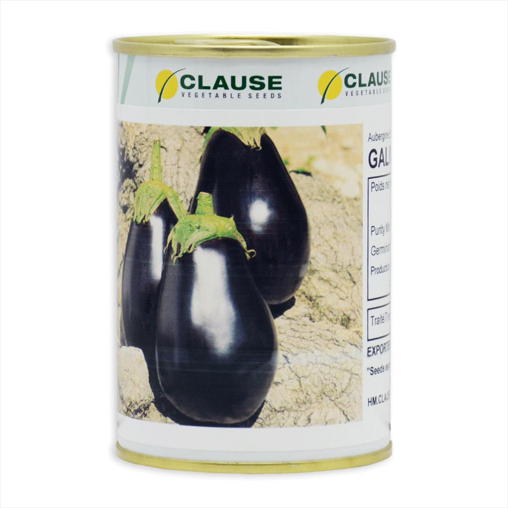 بذر بادمجان لامپی گالین یکی از ارقام بادمجان هیبرید و زودرس، تولید شده توسط شرکت کلوز فرانسه و مناسب کشت فضای باز می‌¬باشد. این بذر یکی از ارقام  industry agriculture agriculture