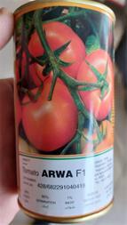 <br/>فروش بذره گوجه آروا<br/><br/>بذر گوجه اروا دارای میوه ای با تیپ گرد بوده و از فرم مناسبی برخوردار می باشد. رنگ میوه قرمز تیره بوده و از بازارپسندی مناسبی برخ industry agriculture agriculture