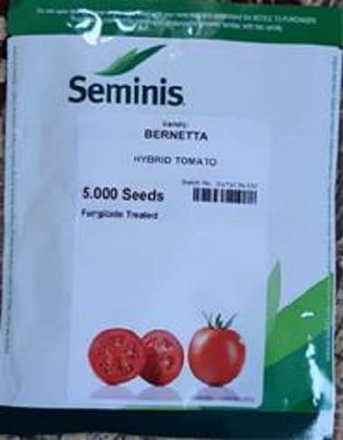 بذر گوجه فرنگی برنتا از شرکت سمینیس آمریکا رقم نسبتاً زودرس می‌باشد. این بذر مناسب کشت در فضای باز بوده و با ویژگی‌هایی چون پوشش برگی بسیار خوب، عملکر industry agriculture agriculture