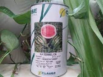 بذر هنداونه کلوز<br/>کلوز زیر مجموعه تجاری از شرکت بزرگ لیماگری (Limagrain) است. که در زمینه تولید بذرهای زراعی، بذر سبزیجات، صیفیجات و غلات پیشرو است. اچ industry agriculture agriculture