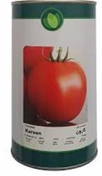 بذر گوجه فرنگی استاندارد کارون از شرکت فلات رقم میان‌رس می‌باشد. این بذر مناسب کشت در فضای باز بوده و با پوشش برگی مناسب و عملکرد بالا جزء ارقام پرطرف industry agriculture agriculture