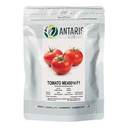 گوجه فرنگی me40014<br/>رقمی هیبرید مخصوص کشت فضای باز<br/>میوه گرد متمایل به تخت<br/>وزن متوسط میوه 180-200 گرم<br/>بوته دارای پوشش عالی و زودرس<br/>میوه همرس با هم شکلی  industry agriculture agriculture