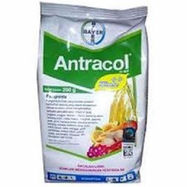 فروش سم آنتراکول Antracol<br/>Antracol حاوی Propineb<br/>یک قارچ کش با تماس با فعالیت طیف گسترده ای در برابر بیماری های مختلف برنج ،فلفل قرمز ، انگور ، سیب زم industry agriculture agriculture