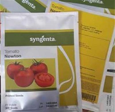 بذر گوجه گلخانه ای رقم نیوتن (NEWTON F1)<br/>رقم گوجه نیوتون یکی از ارقام هیبرید شرکت سینجنتا است.<br/>یک رقم رشد نامحدود و مناسب کشت داربستی و گلخانه ای است. industry agriculture agriculture