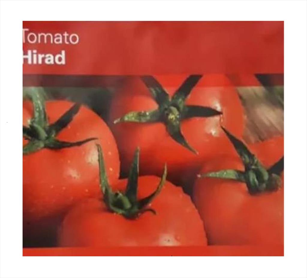 فروش بذر گوجه هیراد<br/><br/>•	دارای عملکرد بالا<br/>•	بوته قوی<br/>•	مناسب برای پایین کشی<br/>•	مناسب برای صادرات، قابلیت برداشت به صورت خوشه ای<br/>بذر گوجه فرنگی گلخانه ای industry agriculture agriculture