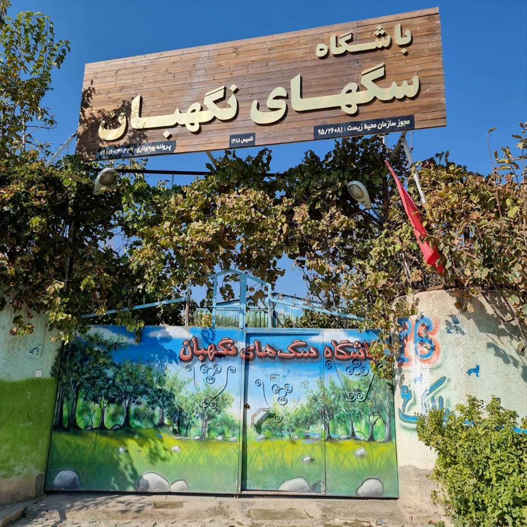 فروش انواع سگ‌های نگهبان اصیل: ژرمن، روتوایلر، قفقازی، مالینویز، کن کورسو، آلابای، کانگال، مالاکلی و ماستیف تبتی | توله و بالغ، نر و ماده<br/><br/>اگر به دنبا buy-sell entertainment-sports pets