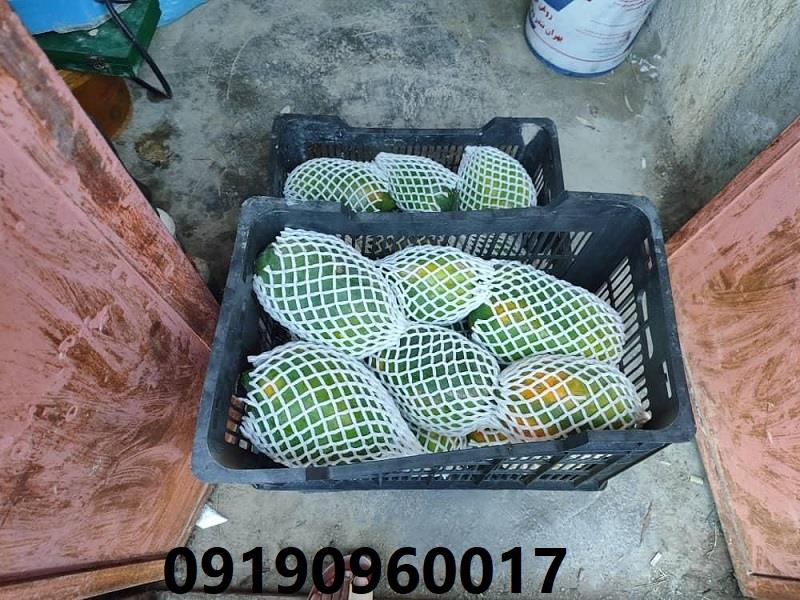 09190960017<br/>اکتشافی جدید در بسته بندی! <br/>فوم توری: برای محافظت با سبکی و طراحی!<br/>ابزار جدیدترین روز های بسته‌بندی:<br/>فوم توری منحصر به‌فرد با طراحی شگفت‌ا industry packaging-printing-advertising packaging-printing-advertising